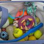 Dog Toy Bundle Image 2
