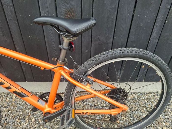 Giant ARX 24 inch kids bike
