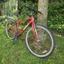 bike Image 7