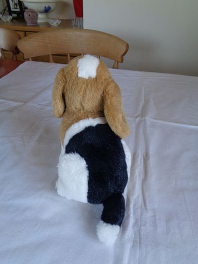 Cuddly Dog for Sale