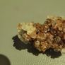Moroccan calcite cluster Image 5
