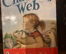 Charlotte's Web book