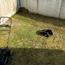 lawn mowing service Image 3