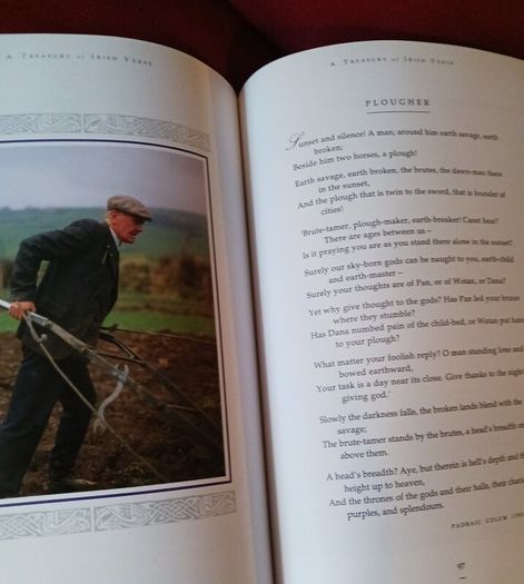A Treasury of Irish Verse / 2002