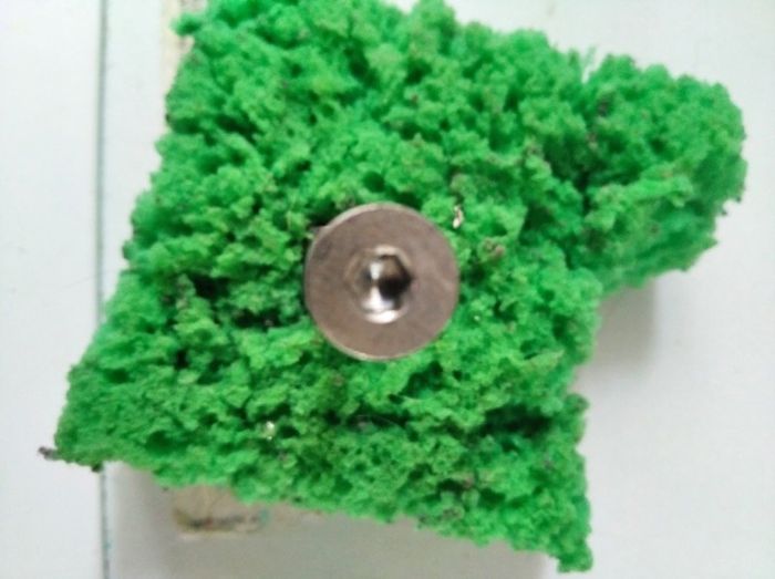 Nuts And Screws