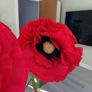 Giant standing poppy flowers for wedding, birthday decor Image 5