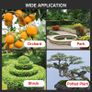 BRAND NEW 88V Cordless Pruning Electric Tree Branches Cutter for Landscaping Image 5