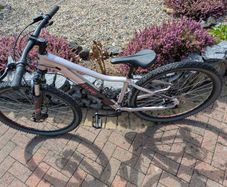 Cube Access WS EAZ Hardtail