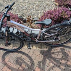Cube Access WS EAZ Hardtail