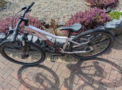 Cube Access WS EAZ Hardtail