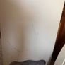 cot bed Image 4