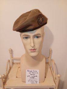 Ukrainian beret