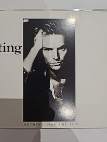 Sting - Nothing Like The Sun.