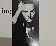 Sting - Nothing Like The Sun.