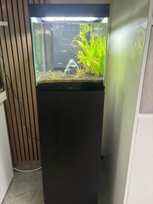 fish tank