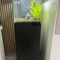 fish tank