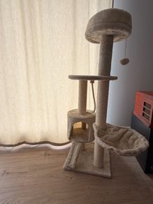 cat tree / scratcher