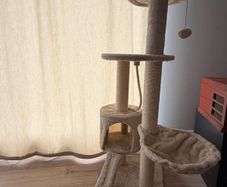 cat tree / scratcher