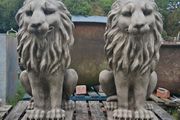 Pair of lions GL LA006