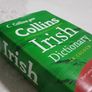 Collins Irish Dictionary / Back to School Image 6