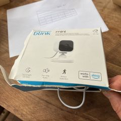 blink mini