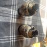 Pair of Antique Japanese Kinkozan Satsuma Vases Geisha Figures Image 3