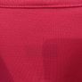 ajax jersey Image 2
