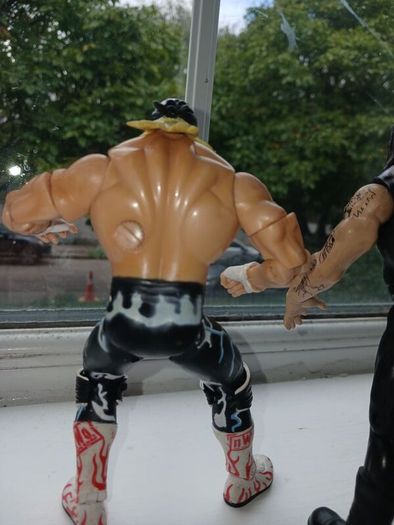 Hollywood Hogan and Undertaker WWE WWF