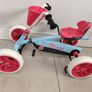 Prechooler bike 4 wheels Berg Image 2