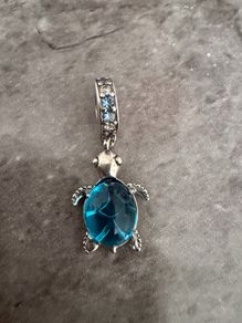 Pandora Turtle