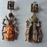 Bejewelled Crystal Large Beetle Earrings Image 8