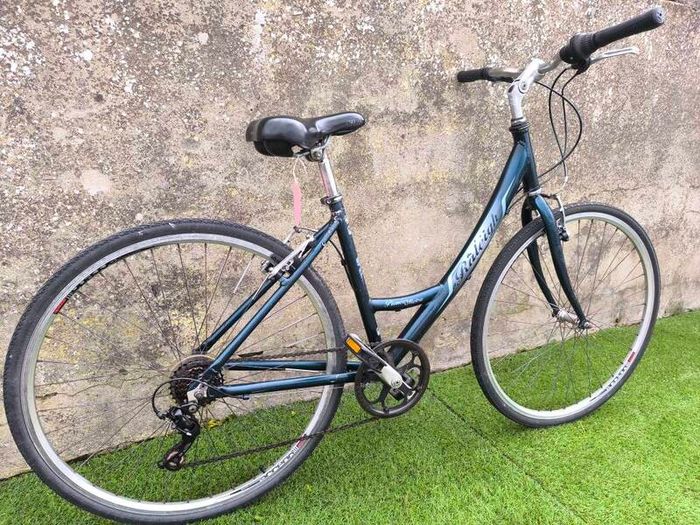 Raleigh Pioneer Metro Ladies Bike