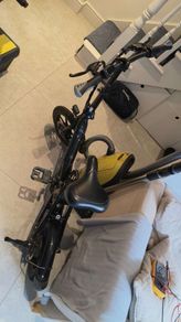 Fiido D3 pro electric bike