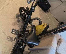 Fiido D3 pro electric bike