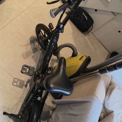 Fiido D3 pro electric bike