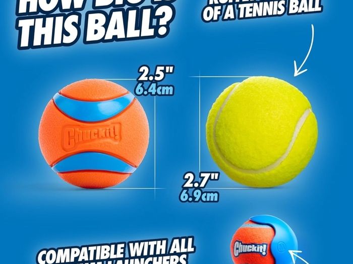 Ultra Ball Dog Toy, Durable High Bounce Floating Rubber Dog Ball, Launcher Compatible Toy For Dogs, Medium (Pack of 2)