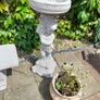 Angel Bird Bath - New - Only 85 Each Image 2