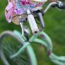bike Image 5