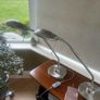 table lamp Image 7