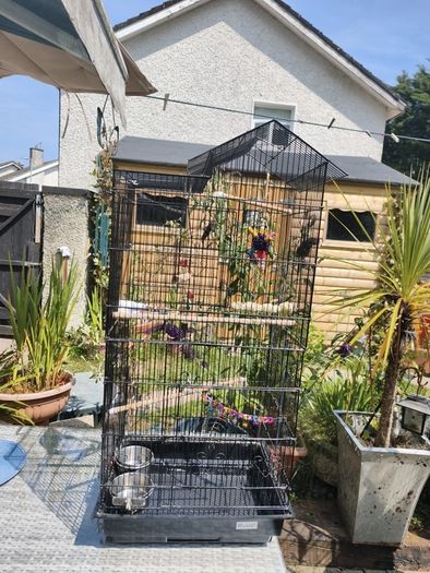bird cage