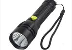 Picasso Star DIve Light Spearfishing light
