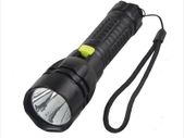 Picasso Star DIve Light Spearfishing light