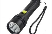 Picasso Star DIve Light Spearfishing light