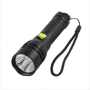 Picasso Star DIve Light Spearfishing light