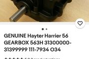 Hayter