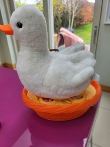 Pets Alive Duck and ducklings