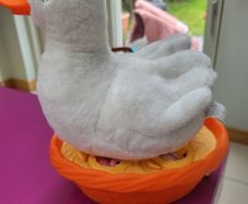 Pets Alive Duck and ducklings