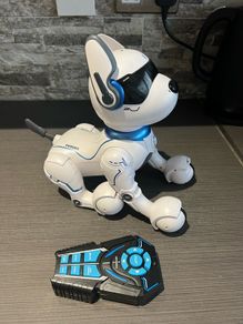 robot dog