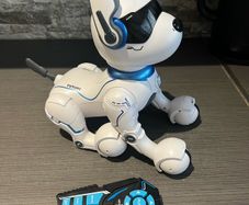 robot dog