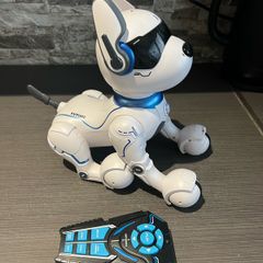 robot dog